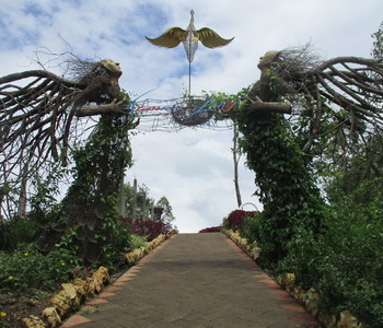 Image Tour